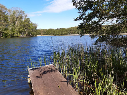 Barsdorf See